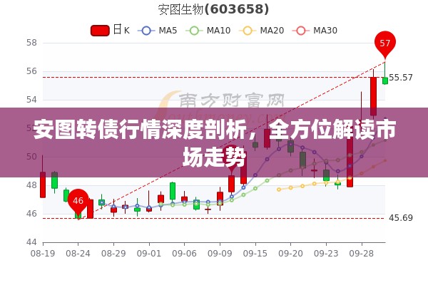 安图转债行情深度剖析,全方位解读市场走势
