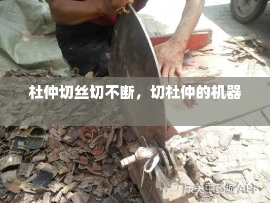 杜仲切丝切不断,切杜仲的机器