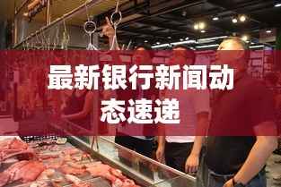 最新银行新闻动态速递