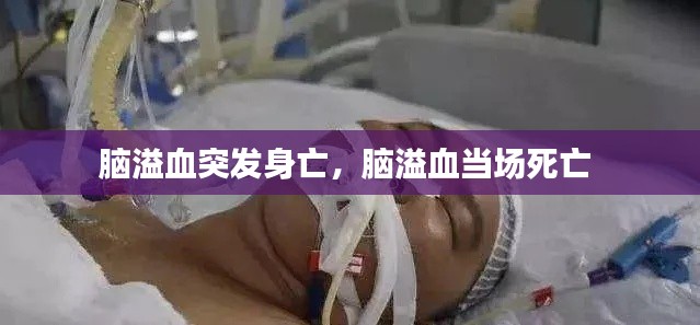 脑溢血突发身亡,脑溢血当场死亡
