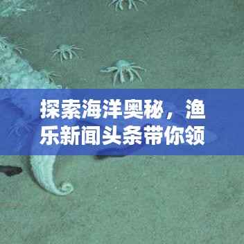 探索海洋奥秘,渔乐新闻头条带你领略最新动态与乐趣