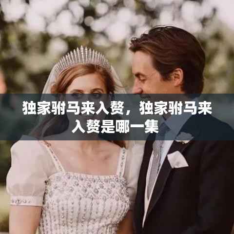 独家驸马来入赘,独家驸马来入赘是哪一集