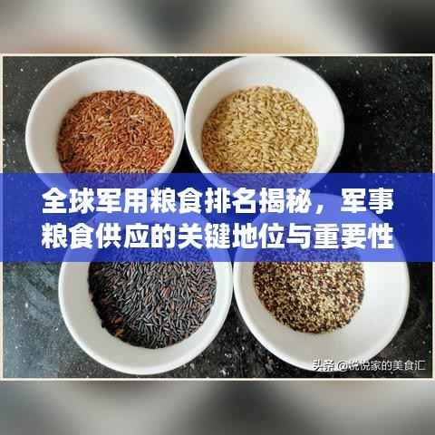 全球军用粮食排名揭秘,军事粮食供应的关键地位与重要性