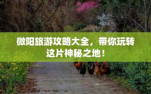 微阳旅游攻略大全,带你玩转这片神秘之地!