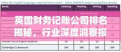 英国财务记账公司排名揭秘，行业深度洞察报告