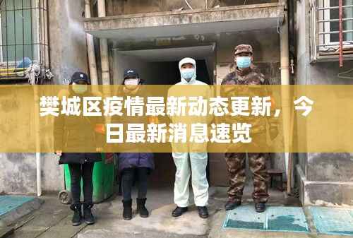 樊城区疫情最新动态更新,今日最新消息速览