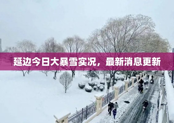 延边今日大暴雪实况,最新消息更新